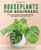 Houseplants for Beginners: A Practical Guide to Choosing, Growing, and Helping Your Plants Thrive