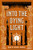 Into the Dying Light (The Age of Darkness, 3)
