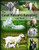 The Goat Record Keeping Log Book: A Journal Designed for Goat Owners to Organize and Track Vital Information (Farm Management Record Logbooks)