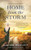 Home from the Storm (A Johns Mill Amish Romance)