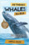 All Things Whales For Kids: Filled With Plenty of Facts, Photos, and Fun to Learn all About Whales