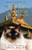 The Dalai Lama's Cat and The Four Paws of Spiritual Success (Dalai Lama's Cat Series)