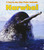 Narwhal (A Day in the Life: Polar Animals: Heinemann Read and Learn: Level K)