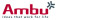 AMBU/KING SYSTEMS CORPORATION