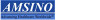 AMSINO INTERNATIONAL, INC.