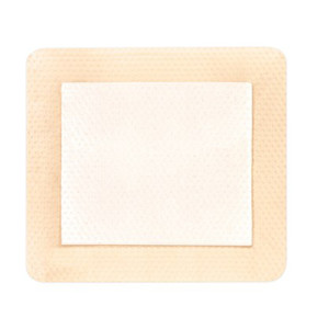 DRESSINGS FOAM SILICONE SELF-ADH BORDER W/SILVER LF ST 2IN X 2IN AG (10/BX) [600-48220]