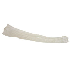 STOCKINGS ANTI-EMBOLISM KNEE HIGH OPEN TOE REG 10-12IN CALF, 15-16IN LENGTH SIZE SM WHITE W/YELLOW TOE LIFESPAN (12PR/BX) [006-553-01]