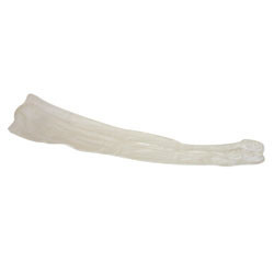 STOCKINGS ANTI-EMBOLISM KNEE HIGH OPEN TOE REG 17-19IN CALF, 18-19IN LENGTH SIZE XL WHITE W/GREEN TOE LIFESPAN (12PR/BX) [006-553-04-BX]