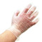 GLOVES EXAM SYNTH VINYL PF DISP LF NS 240MM LG (100/BX 10BX/CS) [600-V113-CS]
