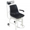 SCALES MECHANICAL BEAM CHAIR 400LB CAP DETECTO (EA) [500-475]