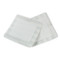 DRESSINGS NON-ADH ABS PADS ADH BORDER LF NS 4IN X 4IN W/2X2IN ISLAND (100/PK) [600-6254-4]