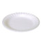 PLATES FOAM 9IN NON-LAMINATED DISP (500/CS) [500-PL9F]