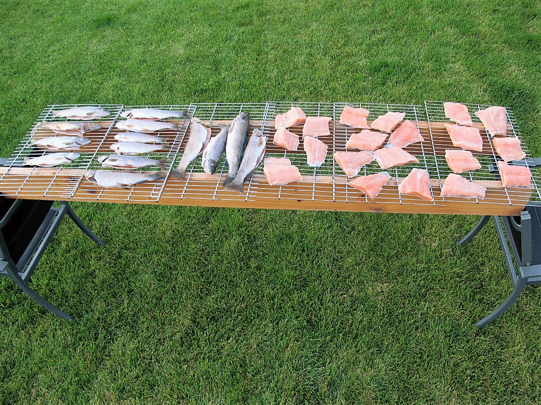 air-drying-trout-before-smoking.jpg