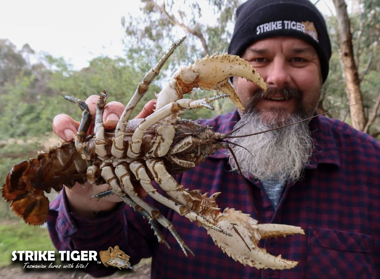 robbie-strike-tiger-beanie.jpg