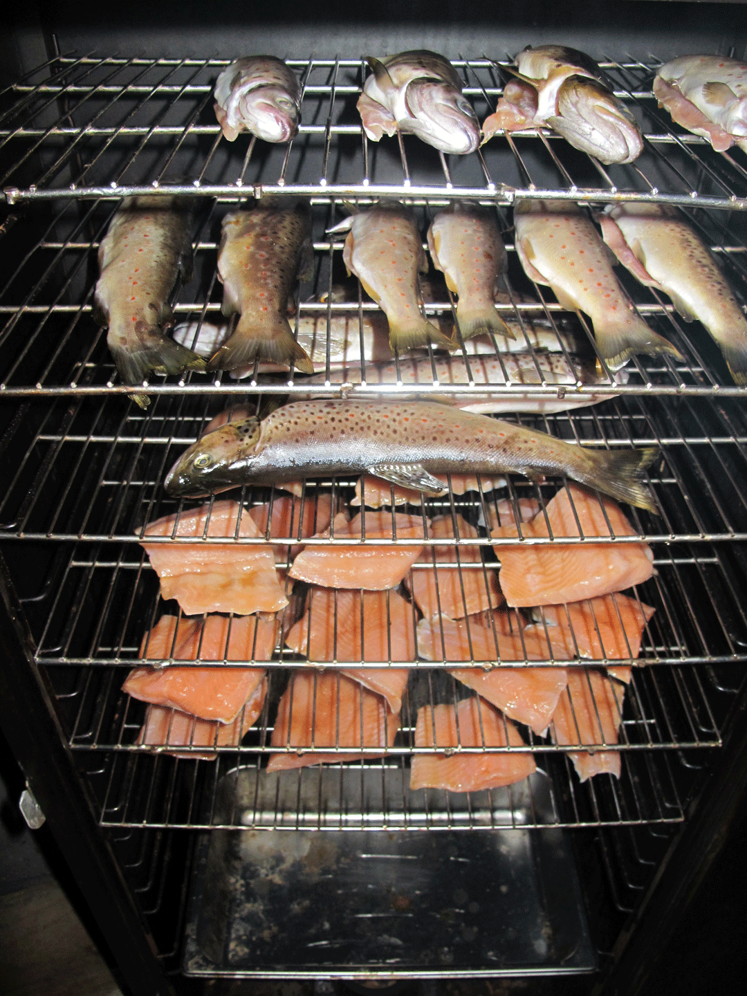 trout-smoker.png