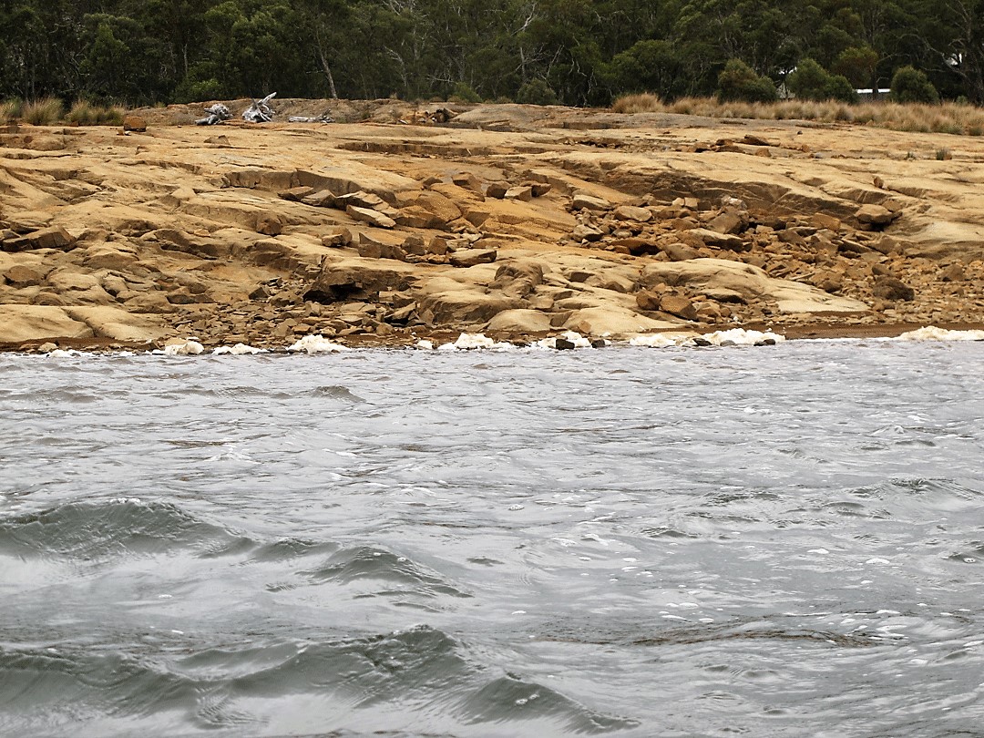 wind-blown-shore.jpg