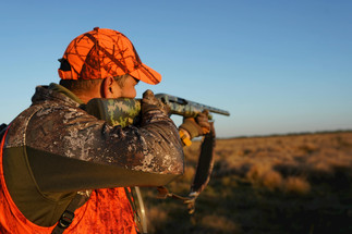 The best long range calibers for hunting and shooting