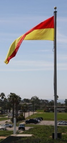NRA Regulation Wind Flag