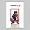 SportScreen Baseball Target