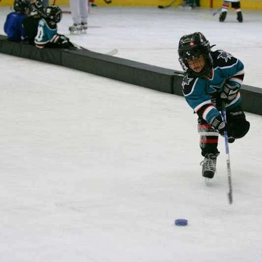 xDividers 12" Cross-Ice Divider System at xHockeyProduct.ca Canada