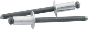 Allstar Performance Sm Hd Rivet Silver 250pk  ALL18101
