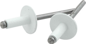 Allstar Performance Lg Hd Rivet 250Pk White  ALL18156