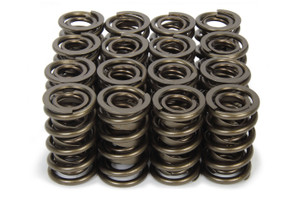Isky Cams 1.570 Valve Springs  9989RAD
