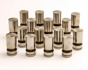 Sealed Power Hydraulic Lifter  SEAHT2011-16