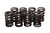 Isky Cams Valve Springs - Nissan SOHC 70058