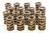Isky Cams 1.530 Valve Springs  8205 PLUS