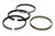 Mahle Pistons Piston Ring Set 4.030 Bore 1/16 1/16 3/16 4030MS