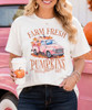 farm fresh pumpkins pink truck model image close up