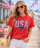 distressed usa with bow model image