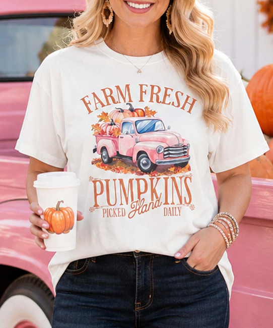 farm fresh pumpkins pink truck model image close up