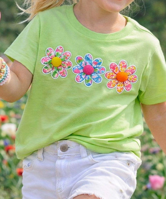 Colorful Daisies Graphic closeup