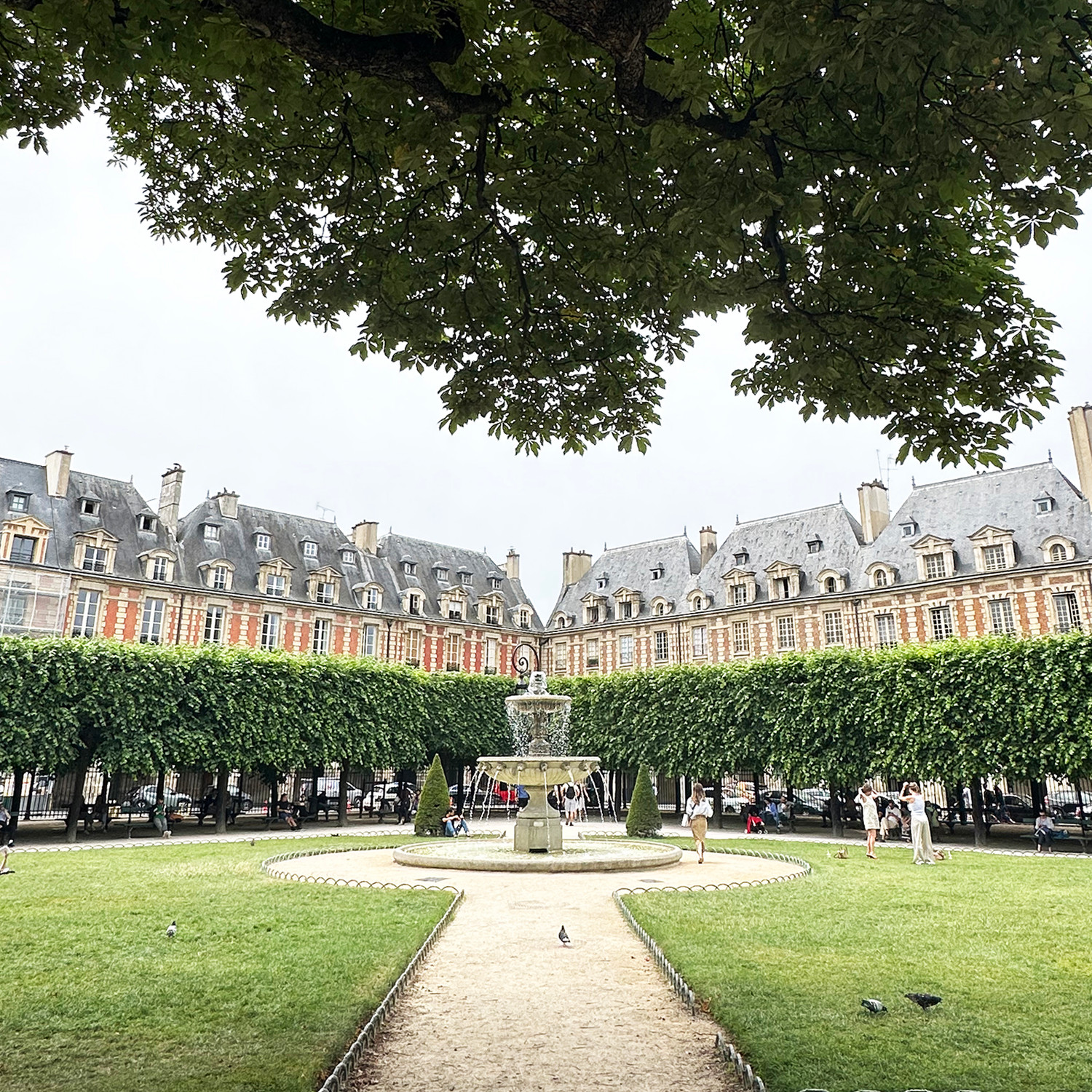 L'Ambroisie – Exquisite Classic French Dining at Place des Vosges