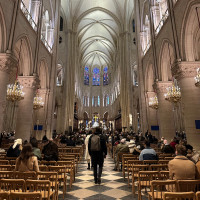 A moment of stillness beneath soaring Gothic arches at Notre-Dame Cathedral.