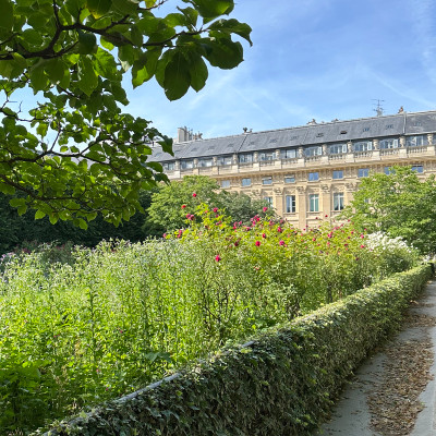 Seasonal flowers, trimmed hedges and shaded benches create a calm retreat in the heart of the city, just steps from the Louvre and Opéra district.