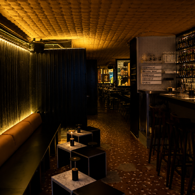 Inside Le Syndicat, a sleek cocktail bar with a rebellious, underground feel, the neon-lit walls reflect an atmosphere of mystery and creativity. A bartender expertly shakes a craft cocktail, pouring a beautifully garnished drink into an elegant glass. The shelves behind the bar are lined with premium French spirits, emphasizing a commitment to local ingredients and mixology excellence. The space is intimate yet energetic, with groups of friends chatting over meticulously crafted drinks. TLC Paris takes you inside this must-visit speakeasy, where French spirits meet bold innovation in the heart of the 10th arrondissement.