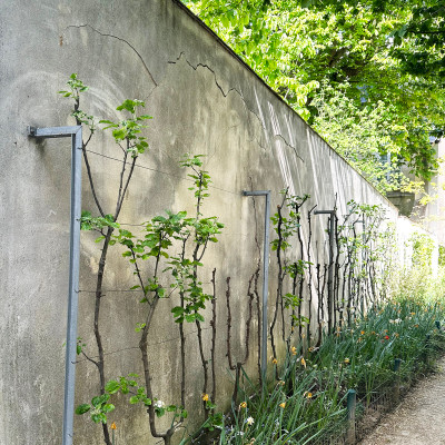 Tucked behind the street, the Jardin des Rosiers is a quiet, almost hidden garden with deep historical significance.
Once part of wartime memory, it now offers a peaceful contrast to the lively streets nearby.