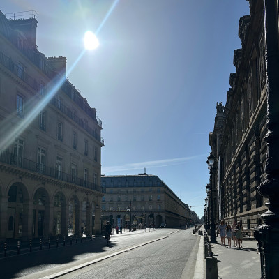 Whether you're shopping, sightseeing or simply strolling, Rue de Rivoli offers one of the most picturesque walks through the heart of historic Paris.