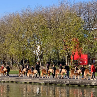 Horse and pony riding are among the many outdoor activities available at Parc de la Villette, making the park especially popular with families. Together with playgrounds, science exhibitions, boat rentals and picnic areas, it offers one of the widest selections of family activities anywhere in Paris.