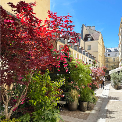 Hidden behind Rue Royale, Cité Berryer feels like a secret village lined with flowers, boutiques and luxury maisons.