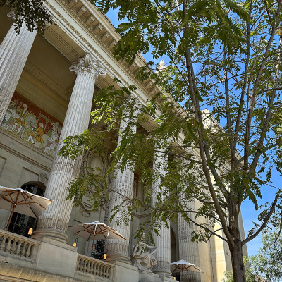 Sunlit facades and timeless proportions — Grand Palais reveals its monumental beauty from every angle.