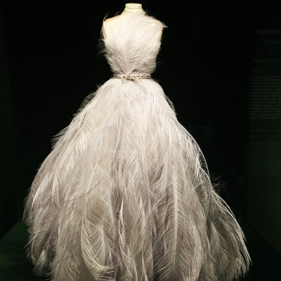 Feather Couture Dress
Delicate feathers transform this couture piece into a work of art, showcasing the extraordinary craftsmanship and attention to detail behind Dior's creations.