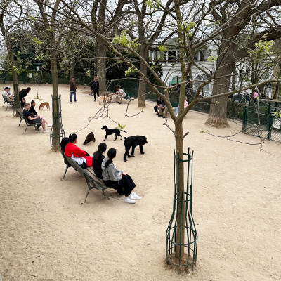 A Local Side of Montmartre — Just beyond the crowds, small neighbourhood spaces reveal the quieter, everyday rhythm of life around Sacré-Cœur.