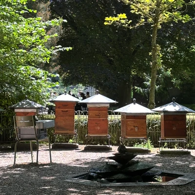 Jardin du Luxembourg – Elegant Parisian Garden in the 6th Arrondissement