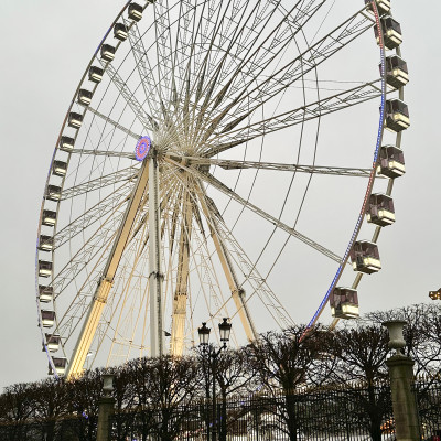 Famous ferris wheel at Tuiliers Garden in the autumn and winter