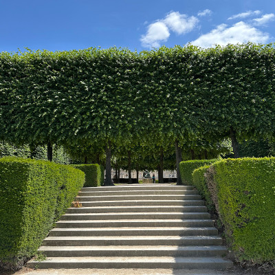 Formal Garden Design
Trimmed hedges and geometric pathways reflect the formal landscape style that has defined the Tuileries for centuries.