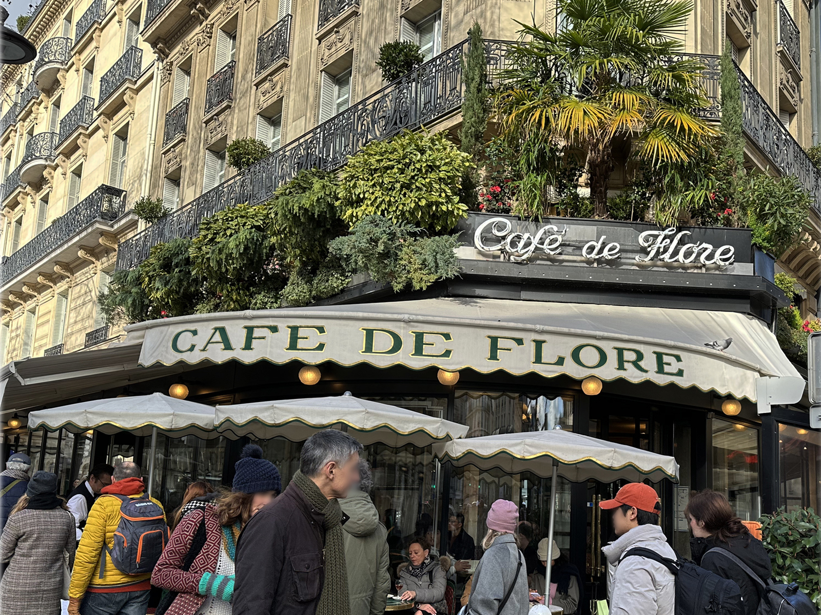 Located on Boulevard Saint-Germain, Café de Flore remains one of the most photographed cafés in Paris, where visitors gather throughout the day to experience one of the city's most iconic terraces.